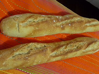 P1050567_opt.jpg