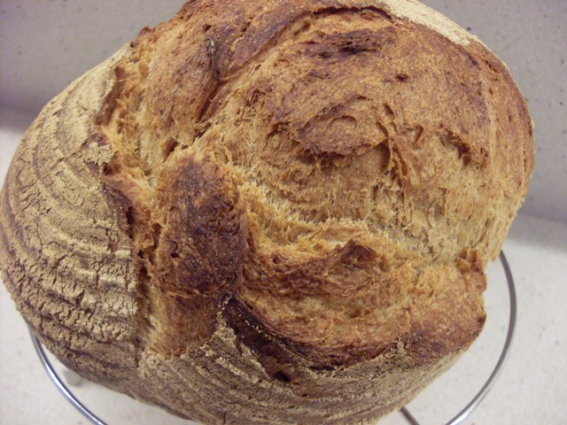 008 - rustic amb poolish.JPG