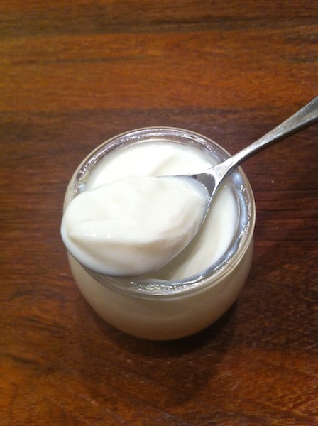 joghurt.jpg